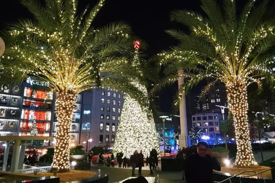 union-square-árvores-de-natal